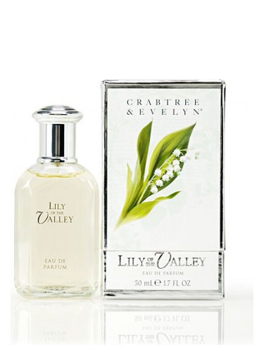 Lily of the Valley