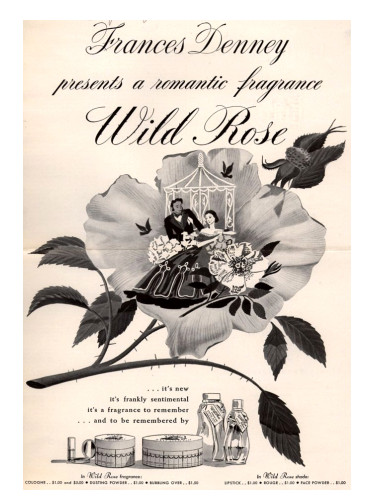 Wild Rose