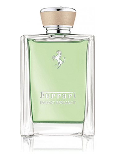 Radiant Bergamot