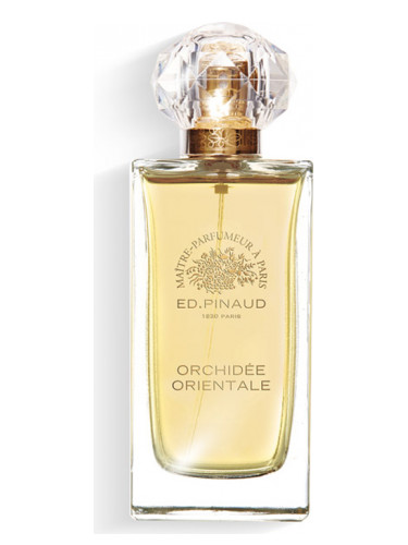 Orchidée Orientale