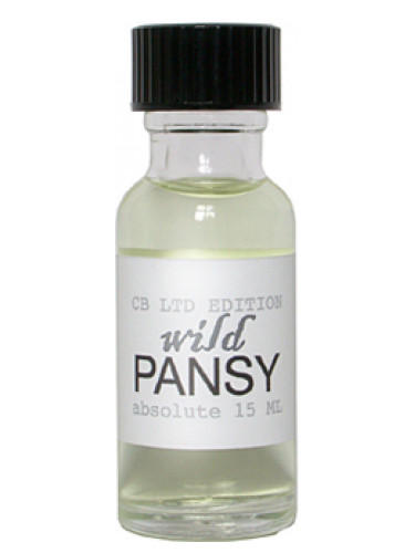 Wild Pansy