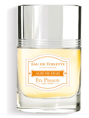 Agrume Frais