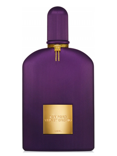 Velvet Orchid Lumière