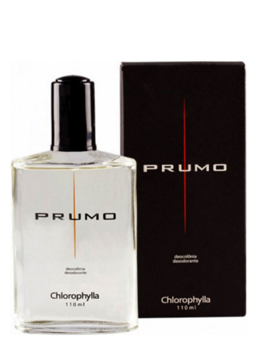 Prumo