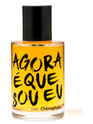 Agora É Que Sou Eu