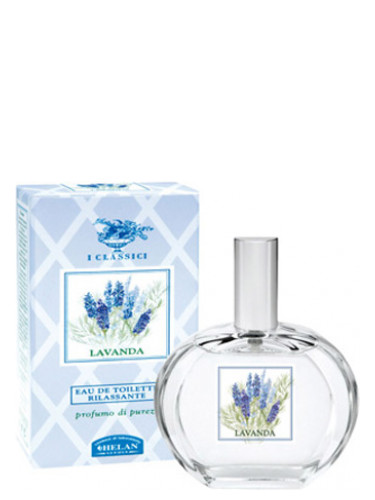 Lavanda