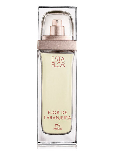 Esta Flor Flor de Laranjeira