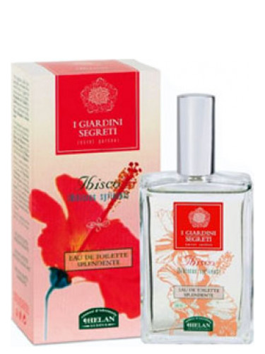 Ibisco