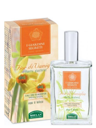 Fior di Vaniglia
