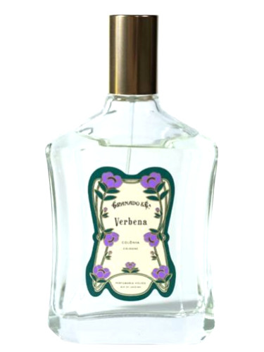 Verbena