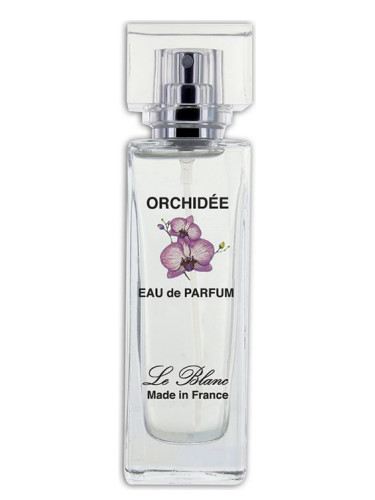 Orchidée