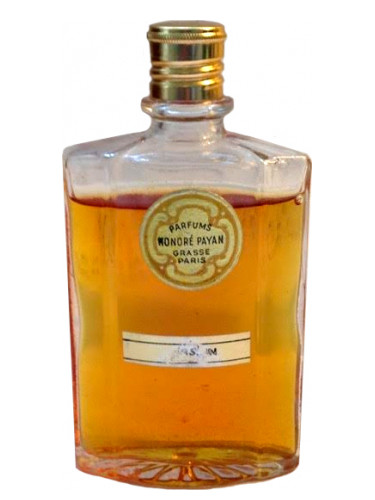 Jasmin