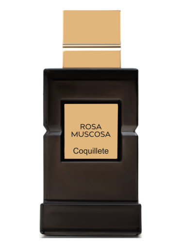 Rosa Muscosa