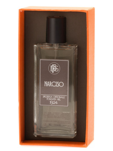 Narciso