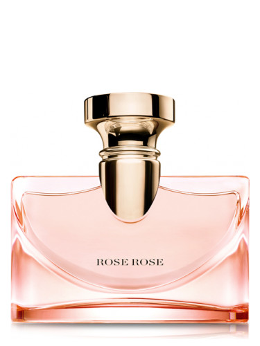 Splendida Rose Rose