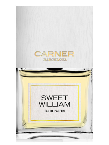 Sweet William