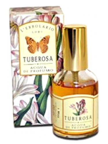 Tuberosa