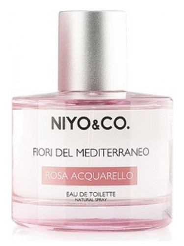 Rosa Acquarello