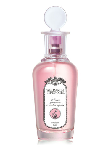 Лесная земляника и полевые травы - Wild Strawberry and Herbs