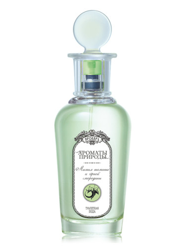 Листья томата и черной смородины - Tomato and Black Currant Leaves