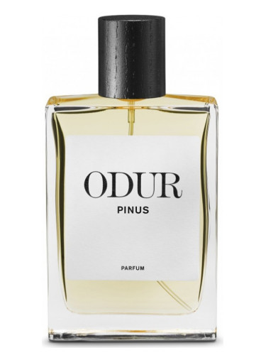 Pinus