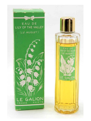 Lily of the Valley