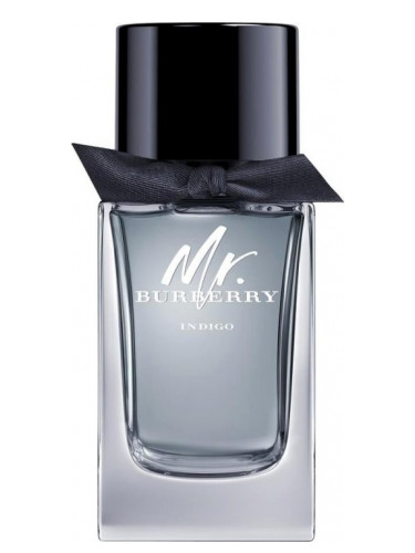 Mr. Burberry Indigo