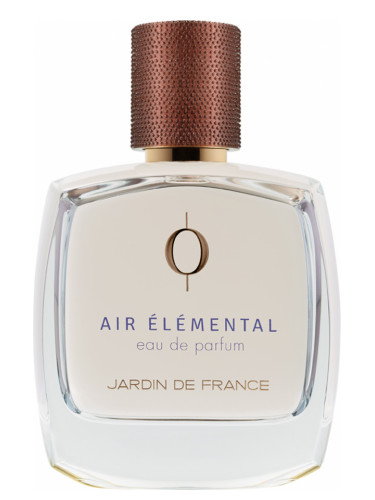 Air Elemental