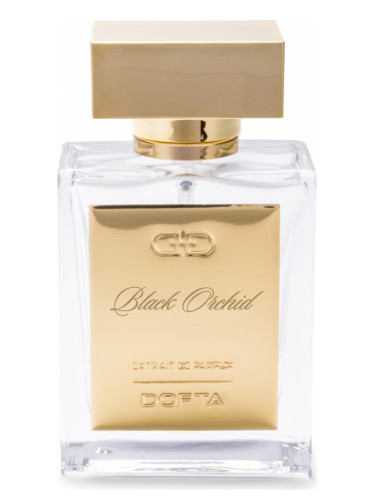 Black Orchid