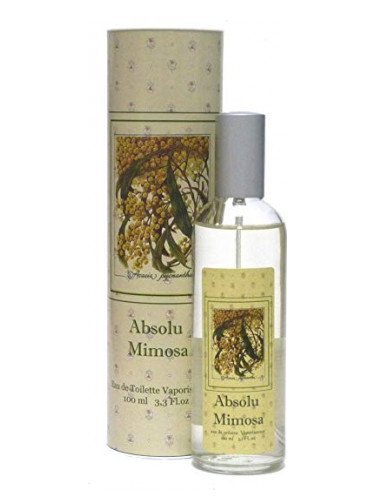 Absolu Mimosa