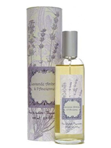 Lavande Ambrée