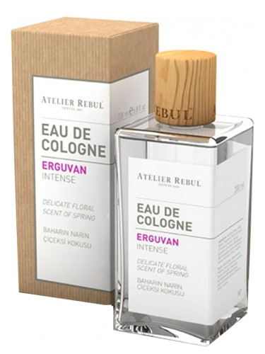 Erguvan
