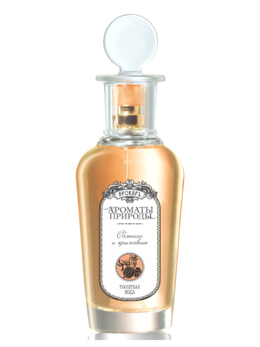 Облепиха и крыжовник - Sea buckthorn and Gooseberry