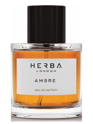 Ambre