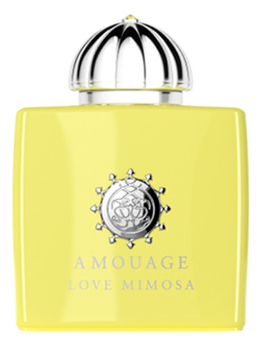 Love Mimosa