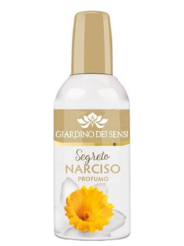 Segreto Narciso
