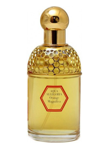 Aqua Allegoria Orange Magnifica