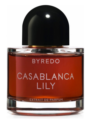 Casablanca Lily (2019)