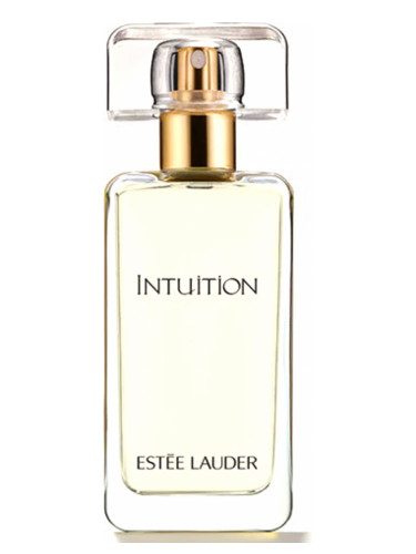 Intuition