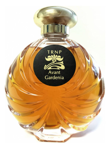 Avant Gardenia