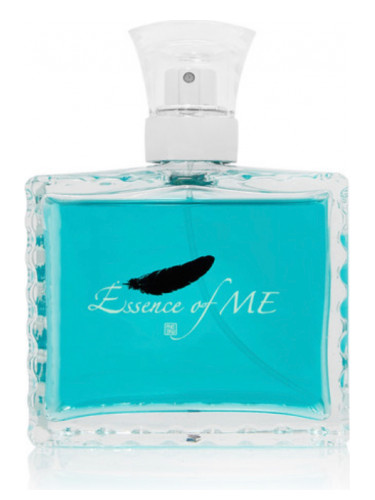Essence of ME