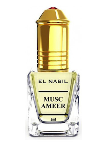 Musk Ameer