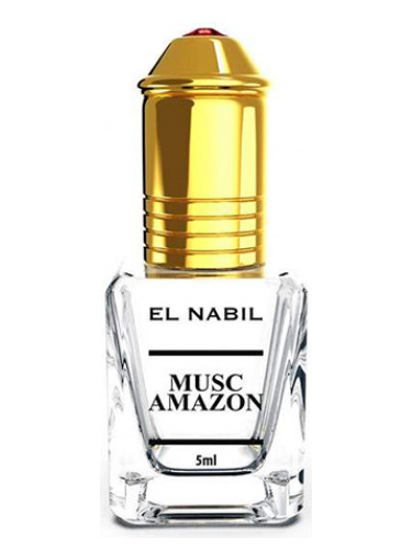 Musk Amazon