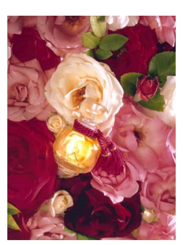 La Rose Legere