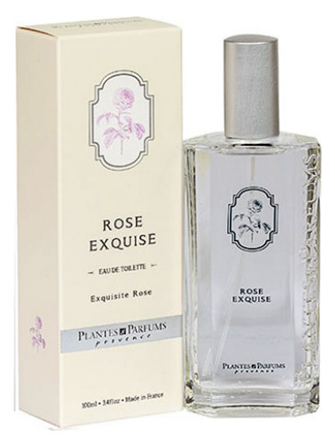 Rose Exquise