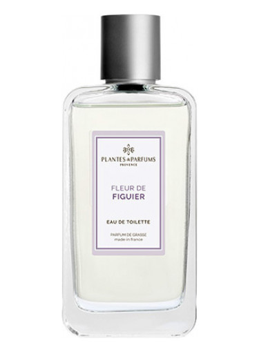 Fleur de Figuier