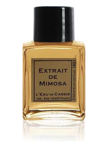 Mimosa