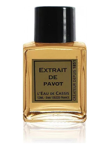 Pavot