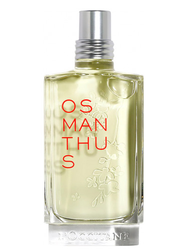 Osmanthus