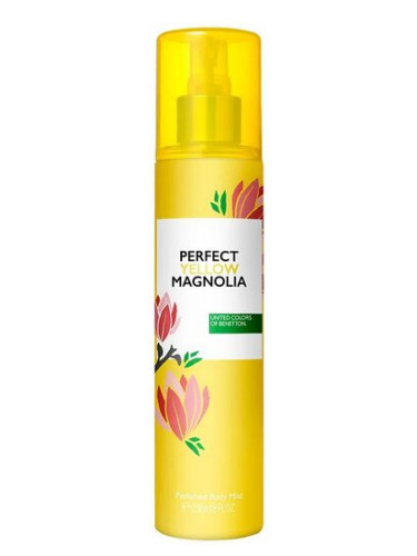 Perfect Yellow Magnolia